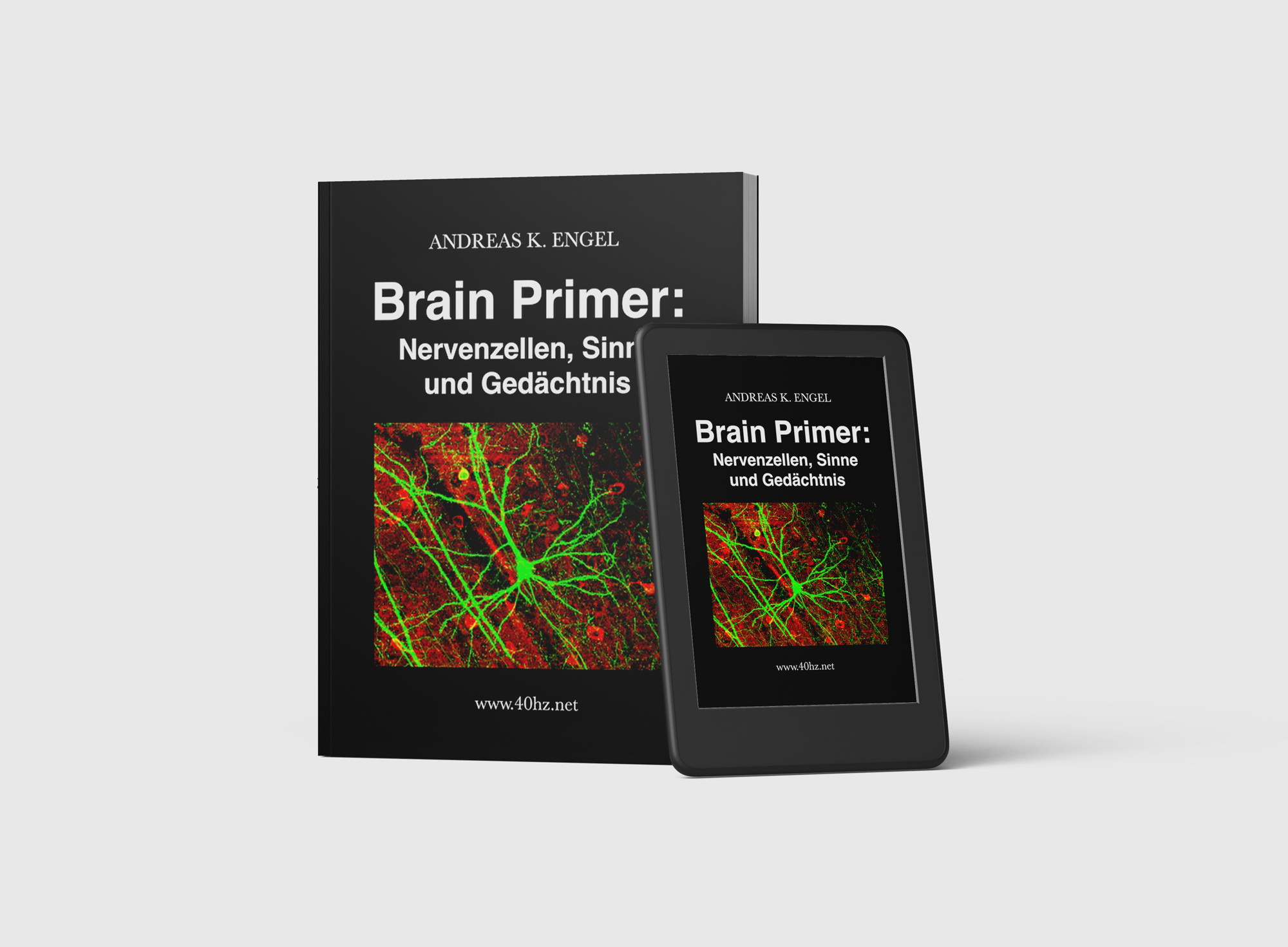 andreas-engel-ebook-brain-primer-2